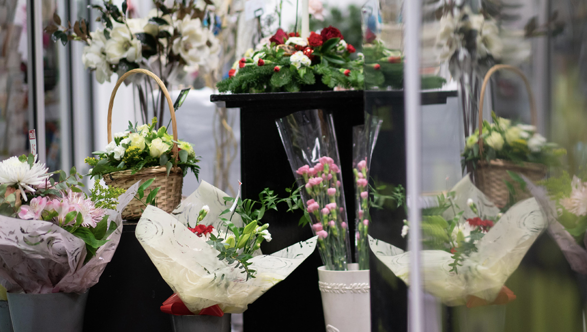 Display of different flowers